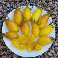 Banana Lemon Singapore